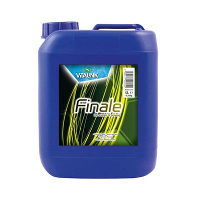 Vitalink Finale