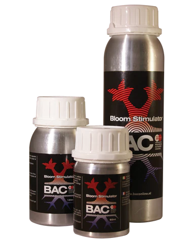 Bloom Stimulator BAC
