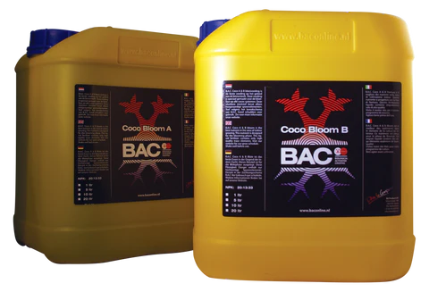 Coco Bloom BAC A&B
