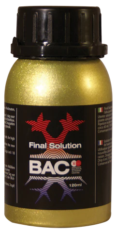 Final Solution BAC