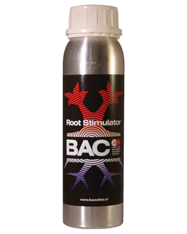 Root Stimulator BAC