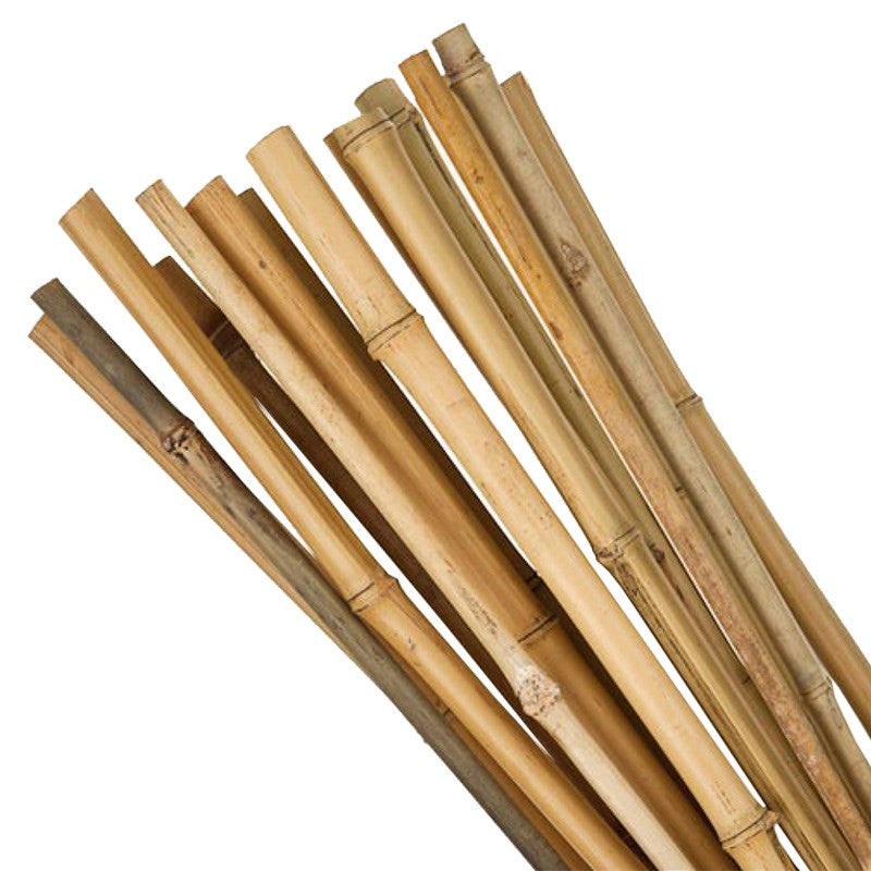 Bamboo Canes 5ft 150cm 25 Pack