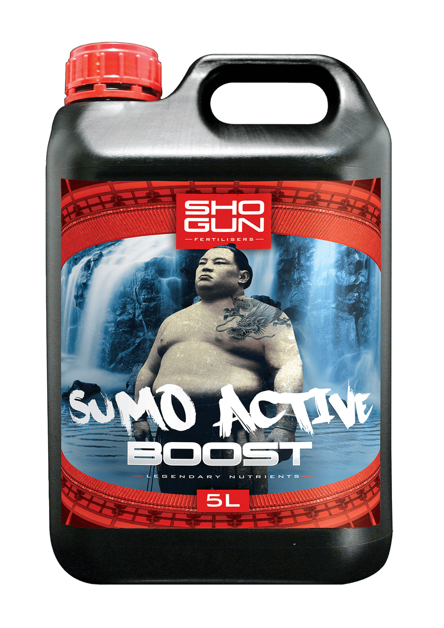 Sumo Active Boost Shogun