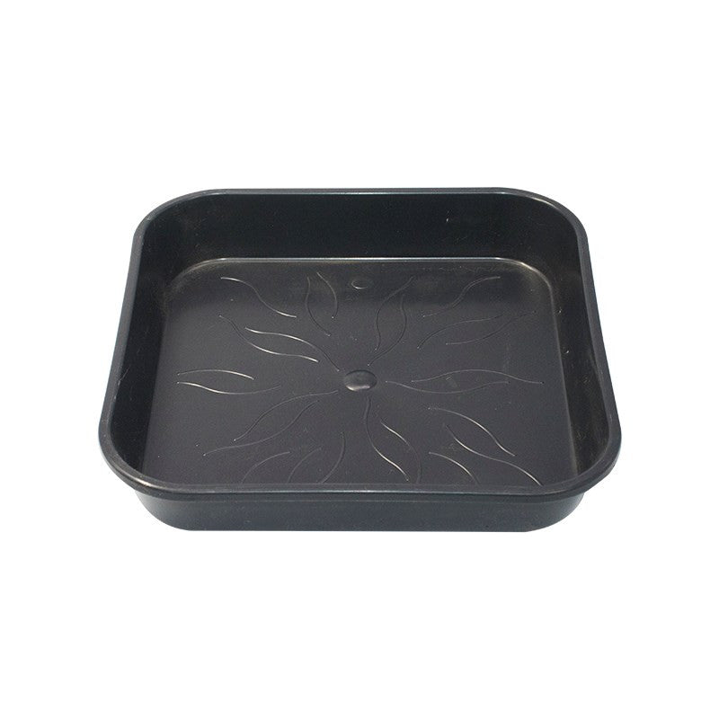 Square Saucer