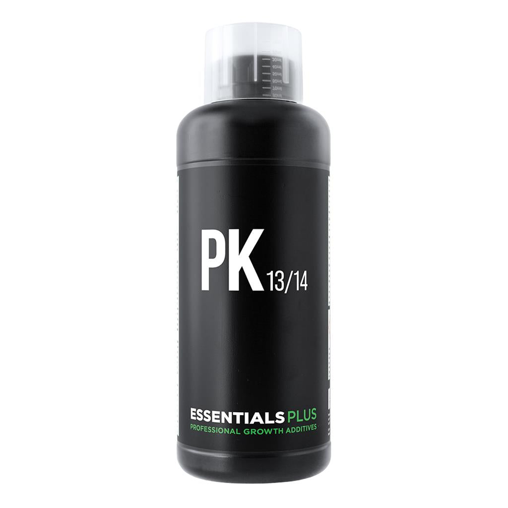 Essentials Plus PK 13/14