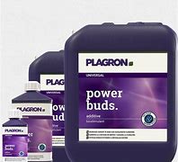 Plagron Power Buds