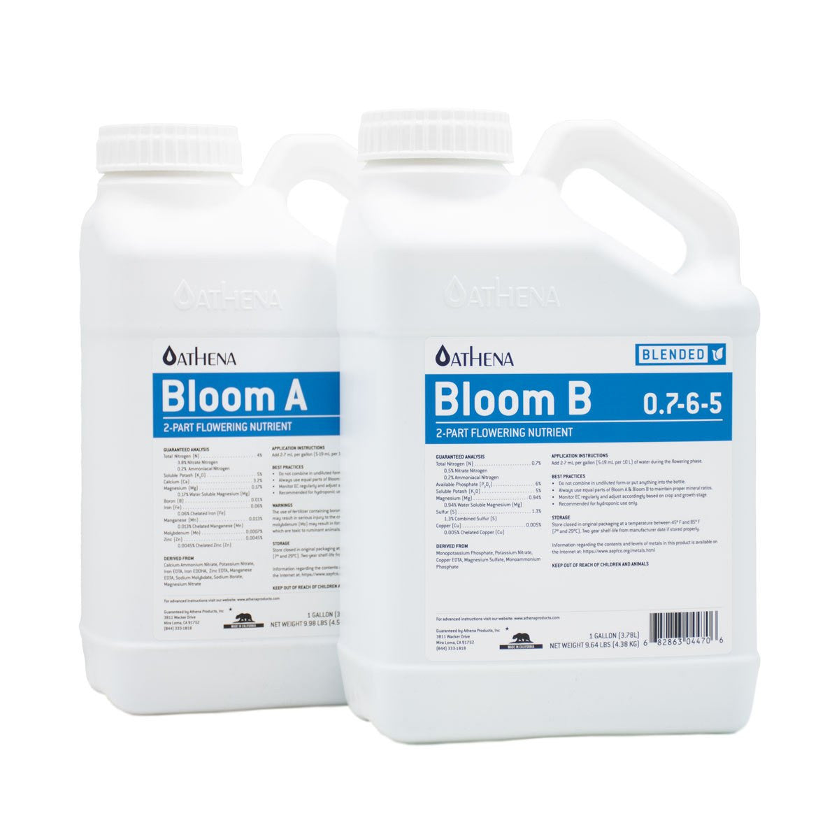 Bloom A&B Athena