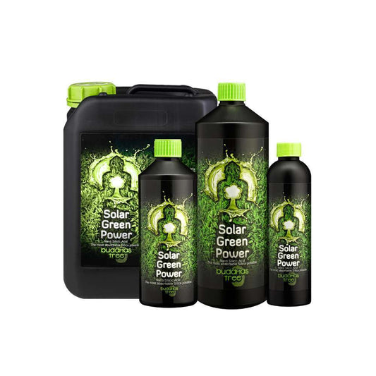 Solar Green Buddhas Tree