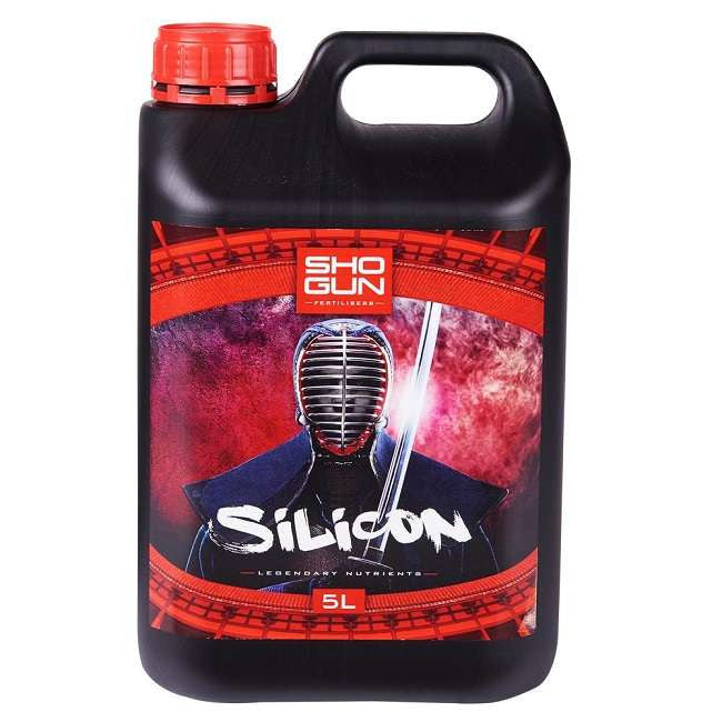 Silicon Shogun