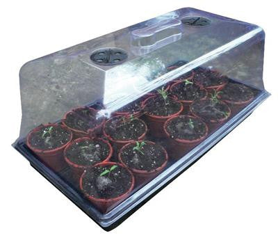 Large Propagator ROOT!T 57cm x 37cm x 20cm