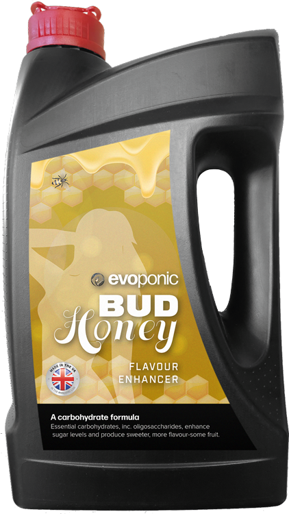 Bud Honey Evoponics