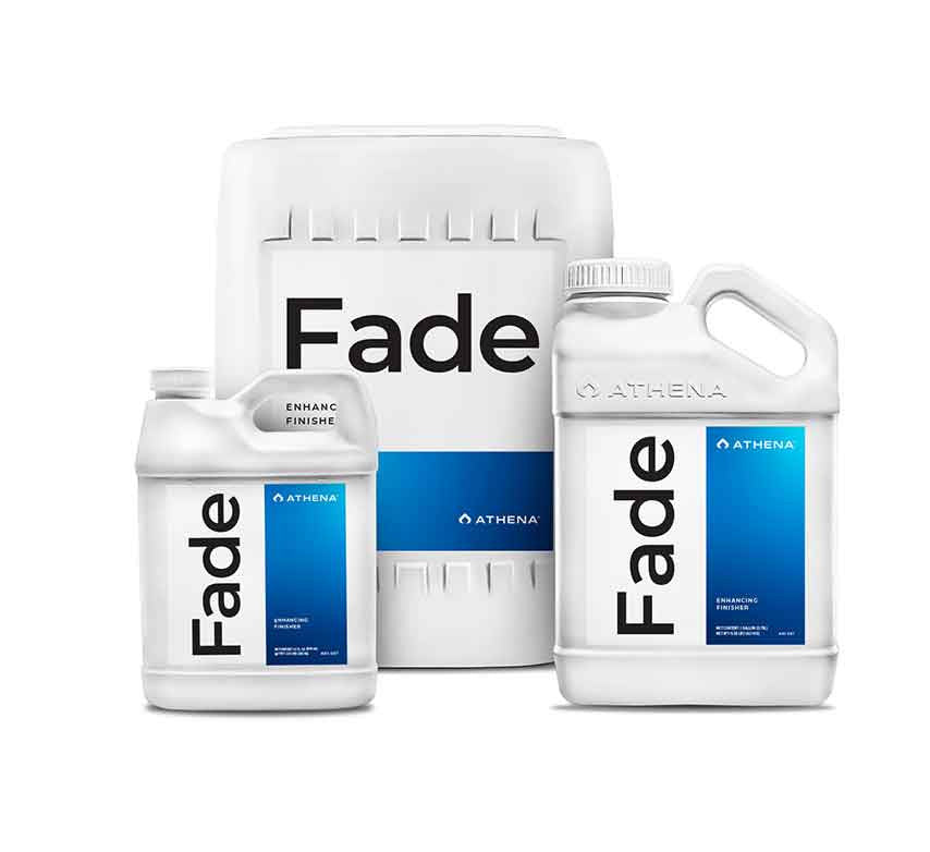 Fade Athena