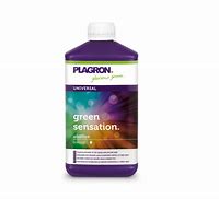 Plagron Green sensation